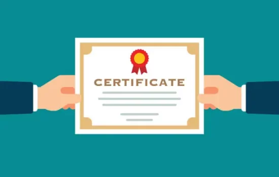 Web Development Certification in Chennai