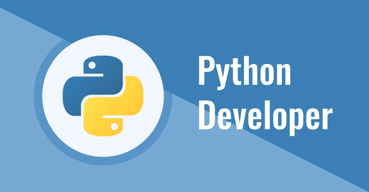What Does Python Developer Do